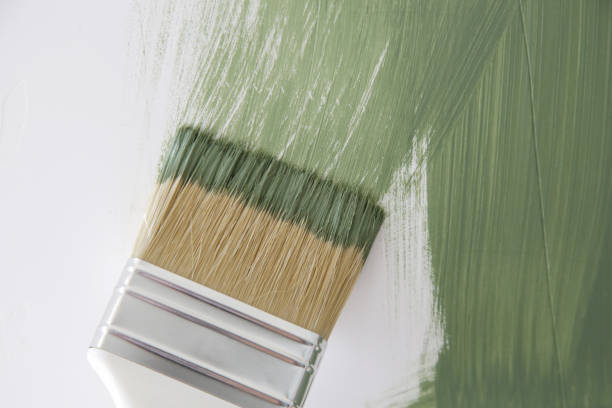  Woodlawn, MD Mold Removal Pros