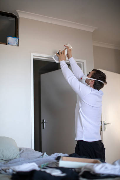 Best Emergency Mold Remediation  in Woodlawn, MD