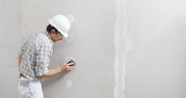 Best Mold Removal for HVAC Installations  in Woodlawn, MD