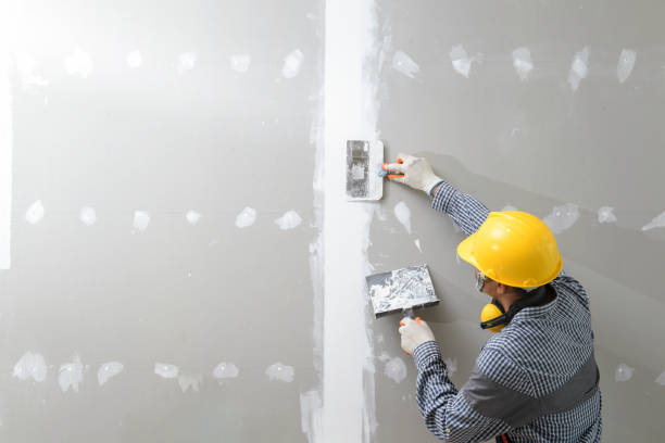 Best Comprehensive Air Testing for Mold Contaminants  in Woodlawn, MD