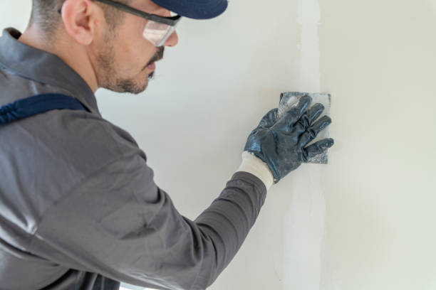 Best Mold Prevention Services  in Woodlawn, MD