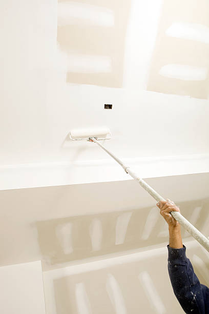 Best Mold Remediation for Healthcare Facilities  in Woodlawn, MD