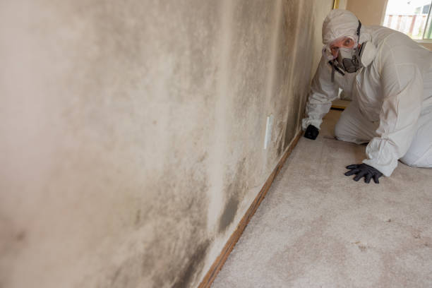 Best HVAC Mold Inspection and Cleaning  in Woodlawn, MD